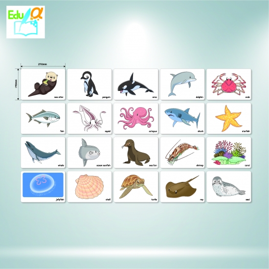 1827 / 英語イラストカード（動物2） _ 学校教具オンラインショップ